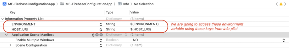 Access Environment variables